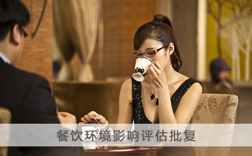 代办餐饮环境影响评估批复